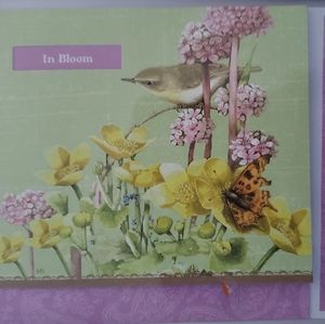 Box Set, 10 Hallmark Nature's Sketchbook Cards